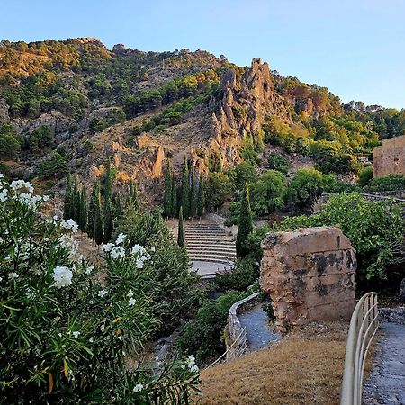 La Mocha Casa Rural La Casa De Ani Ла-Іруела Екстер'єр фото